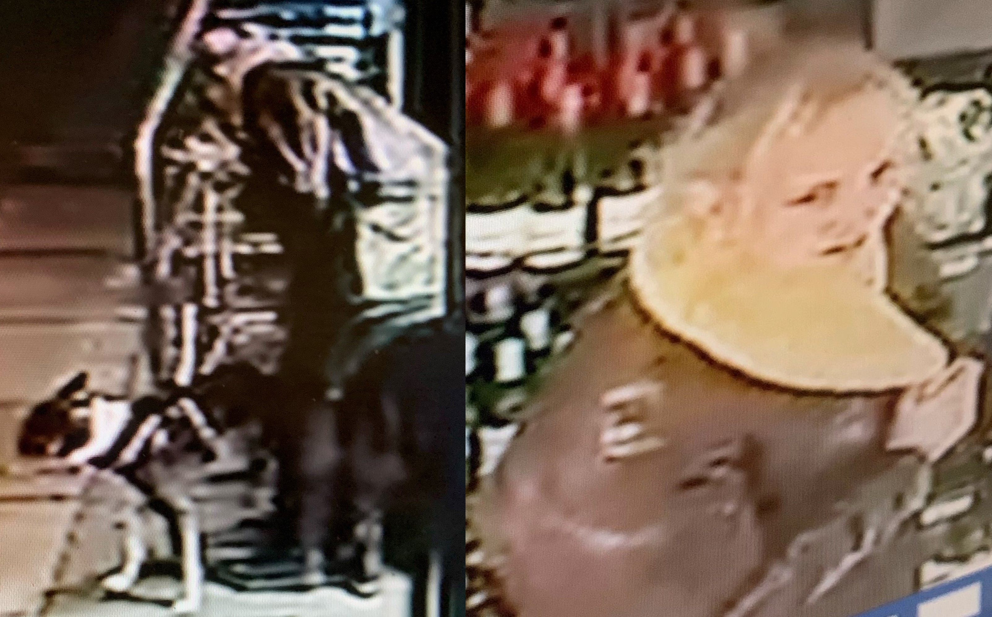 Stratford dog attack