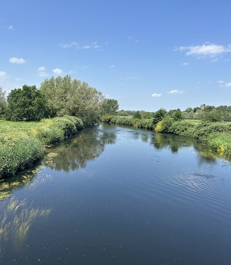 River Tame