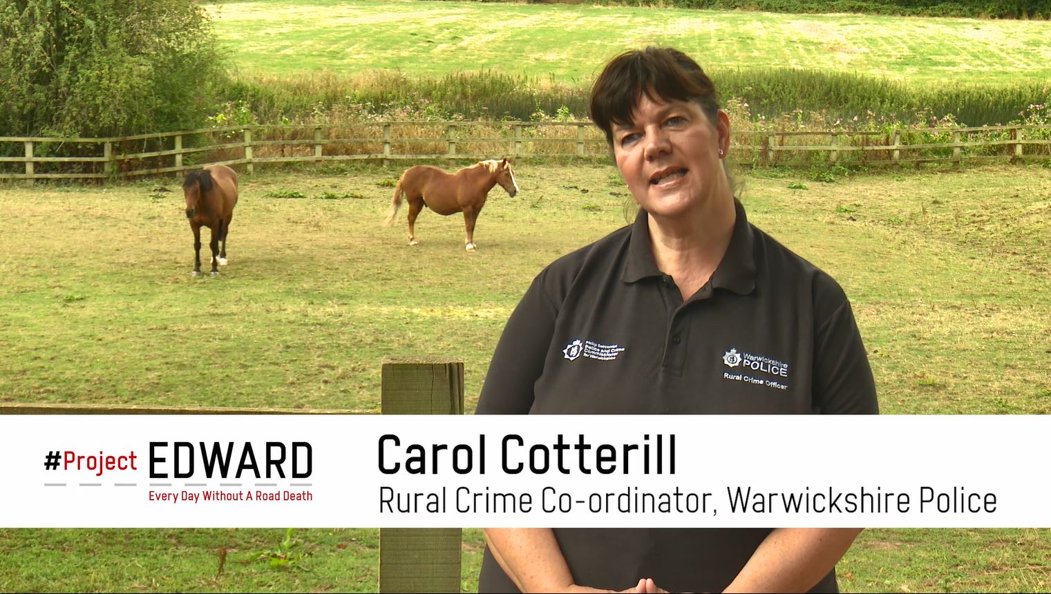 Warwickshire Road Safety Partnership raises awareness of horse road safety with Project Edward 